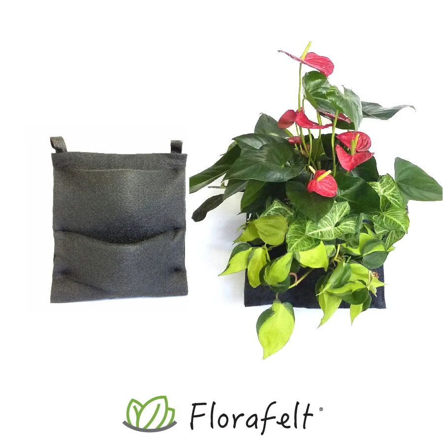 Florafelt 2-Pocket Panel Living Wall System — Florafelt Living